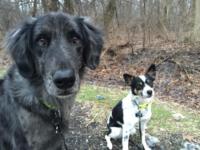 Erik Kulstad, MD, MS